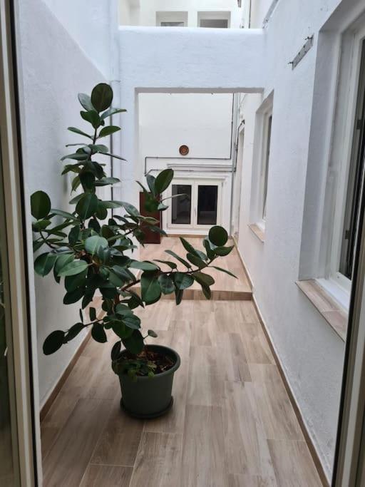Apartamento Centrico Pontevedra Lejlighed Eksteriør billede